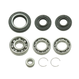 Bronco Differential Bearing & Seal Kit Honda TRX / Big Bear / Kodiak / Wolverine