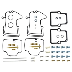 Sno-X Carburetor repair kit Ski-Doo