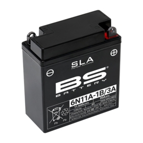 BS BATTERY SLA Maintenance Free Factory Activated 6N11A-1B/3A 6V 11.6AH