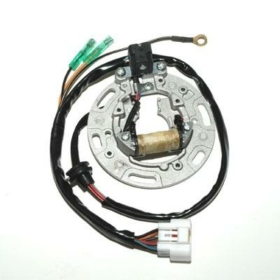 ELECTROSPORT Stator Kawasaki KX 2001-13