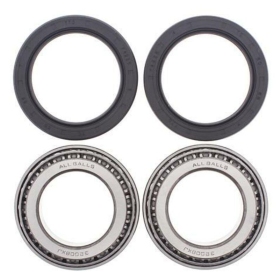 ALL BALLS Front/Rear Wheel Bearing Kit Can-Am DS650 00-05