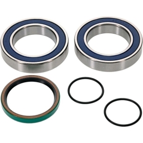 Bearing & seal kit ALL-BALLS 14-1087 Ski-Doo Backcountry / Expedition / Freeride / Grand Touring / MXZ / Renegade / Skandic / Summit / Tundra 600-900 2017-2021