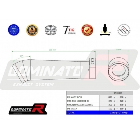 Exhausts silincers Dominator GP2 APRILIA RSV 1000R 2004-2009