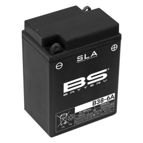 akumuliatorius BS BATTERY SLA B38-6A 6V 13AH