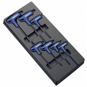 EXPERT T-Handle Torx Keys Tools Module - Plastic Tray