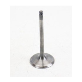 Psychic intake valve SUZUKI RMZ450 08-11