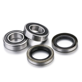 FACTORY LINKS Wheel Bearing Kit SHERCO 125-450 2024