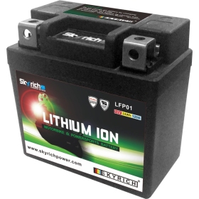 SKYRICH Battery Lithium-Ion - LFP01 12V