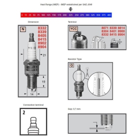 Champion Sparkplug 8339 Powersport