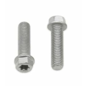 BOLT Hex/Torx Head Screw M8x1,25x30mm 10 pieces