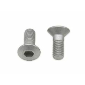 BOLT Hex/Torx Head Screw M8x1,25x16mm 10 pieces