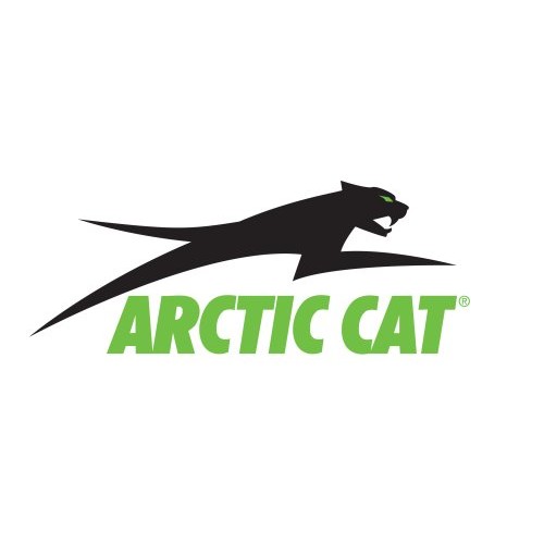 Arctic cat